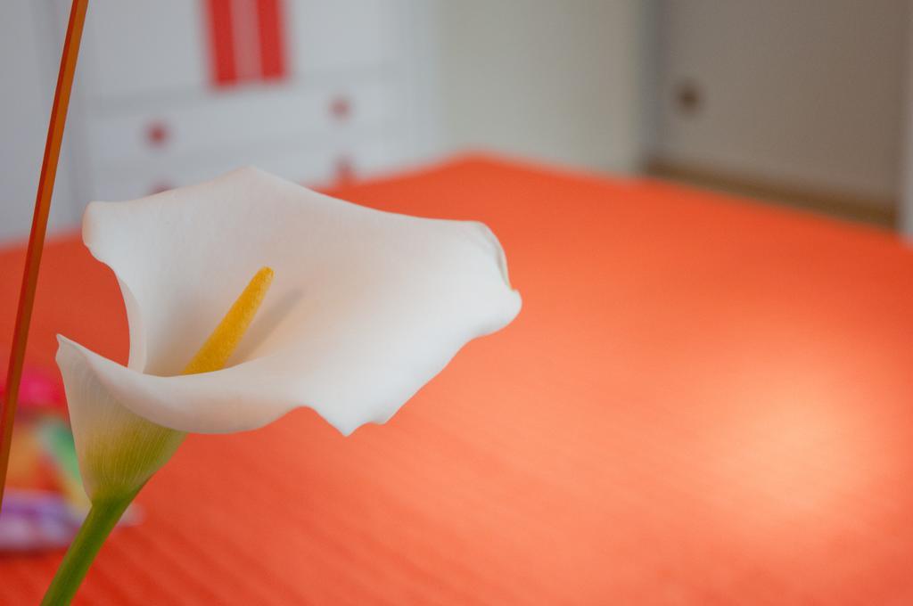 Albergo La Rosetta Chianciano Terme Ngoại thất bức ảnh