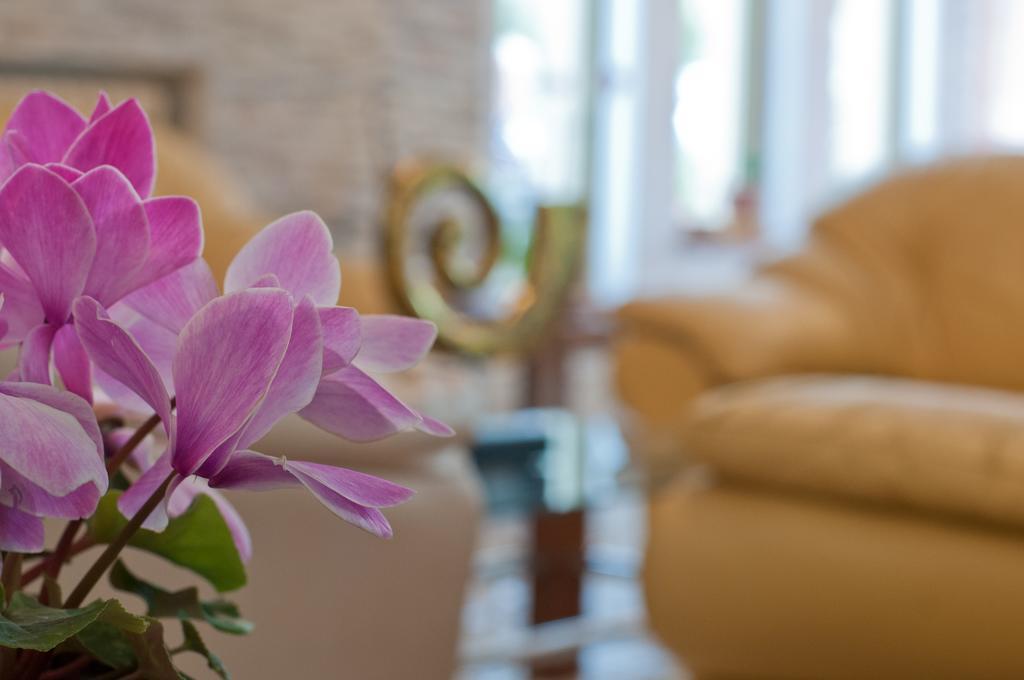 Albergo La Rosetta Chianciano Terme Ngoại thất bức ảnh